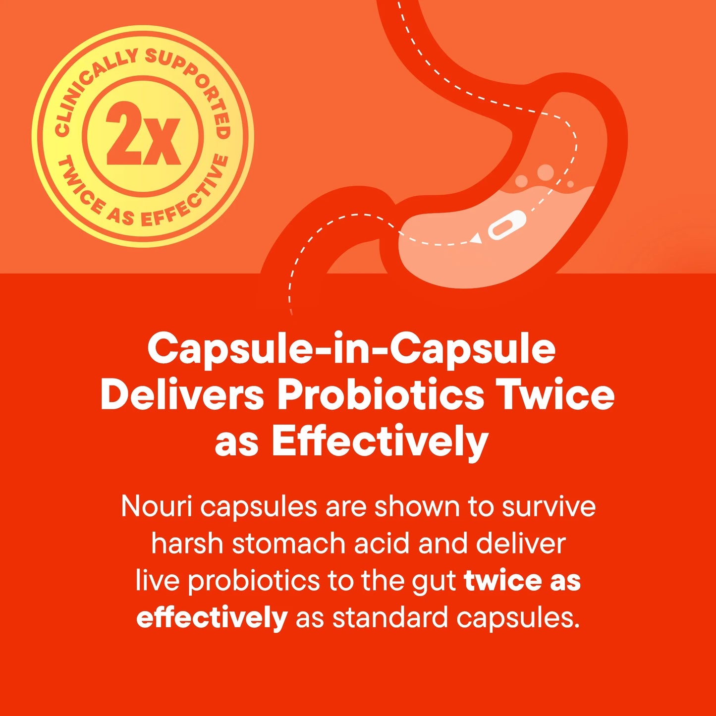 Digestive Health Probiotic with Omega for Digestion, Immune, and Brain Health, 30 Day Supply