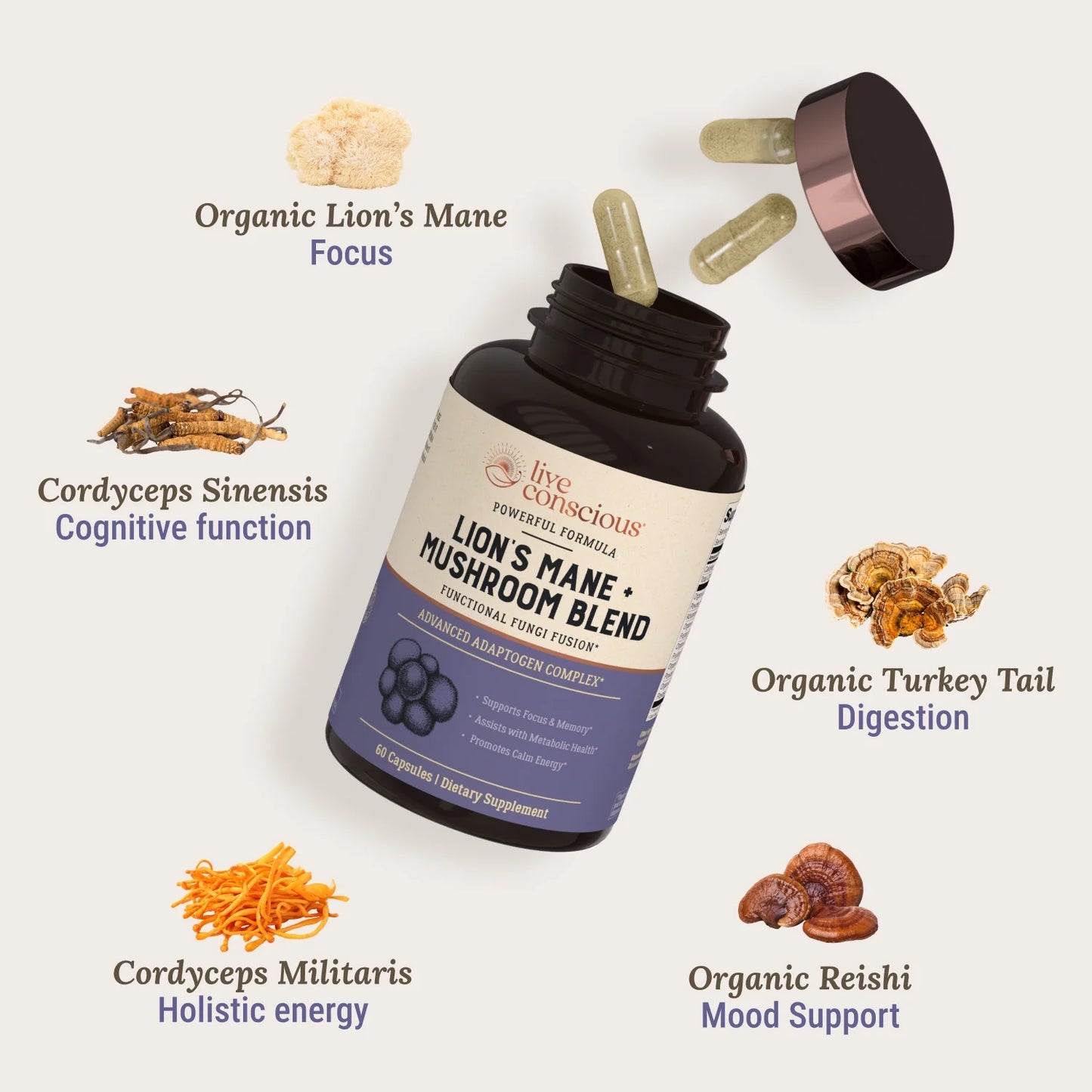 Lion’S Mane + Mushroom Blend with Cordyceps, Turkey Tail, and Reishi - for Cognitive Health and Gut Health | by - 30 Servings